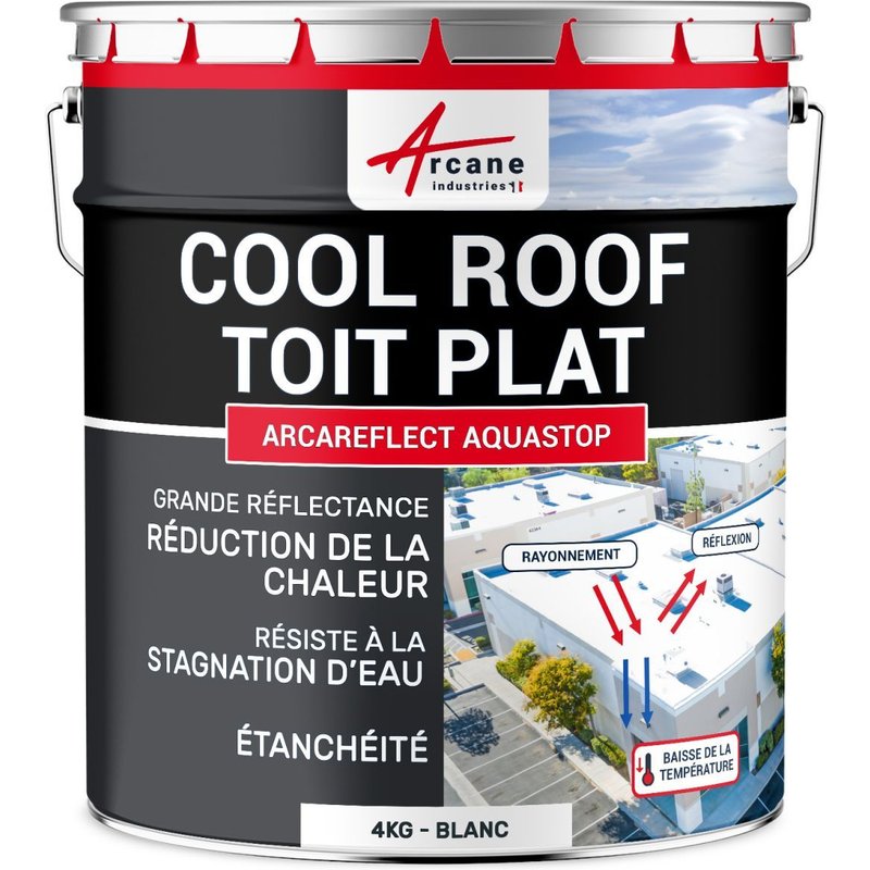 Cool roof toit plat terrasse réfléchissante Blanc 4 kg