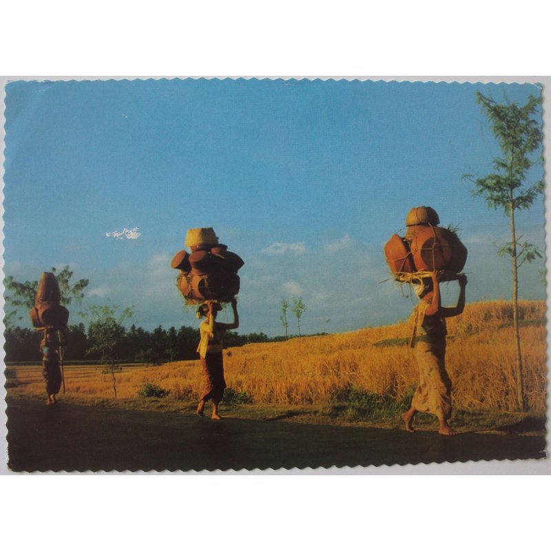 Indonésie.. Bali - Femmes Balinaises Transportant De Lourds Fardeaux.