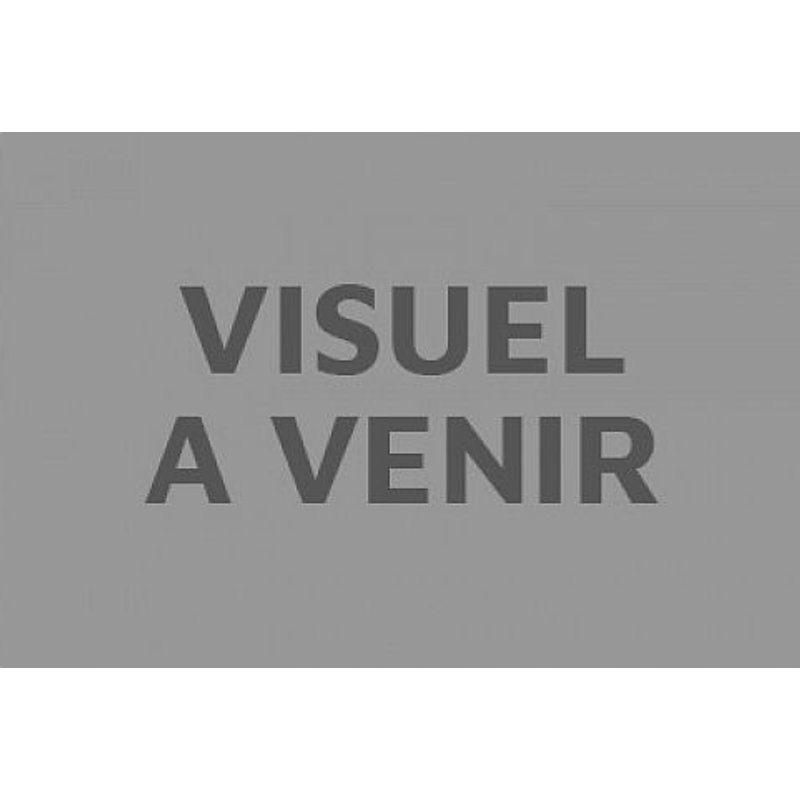 Kit Plastique Dingue 7 Suspensions Noel