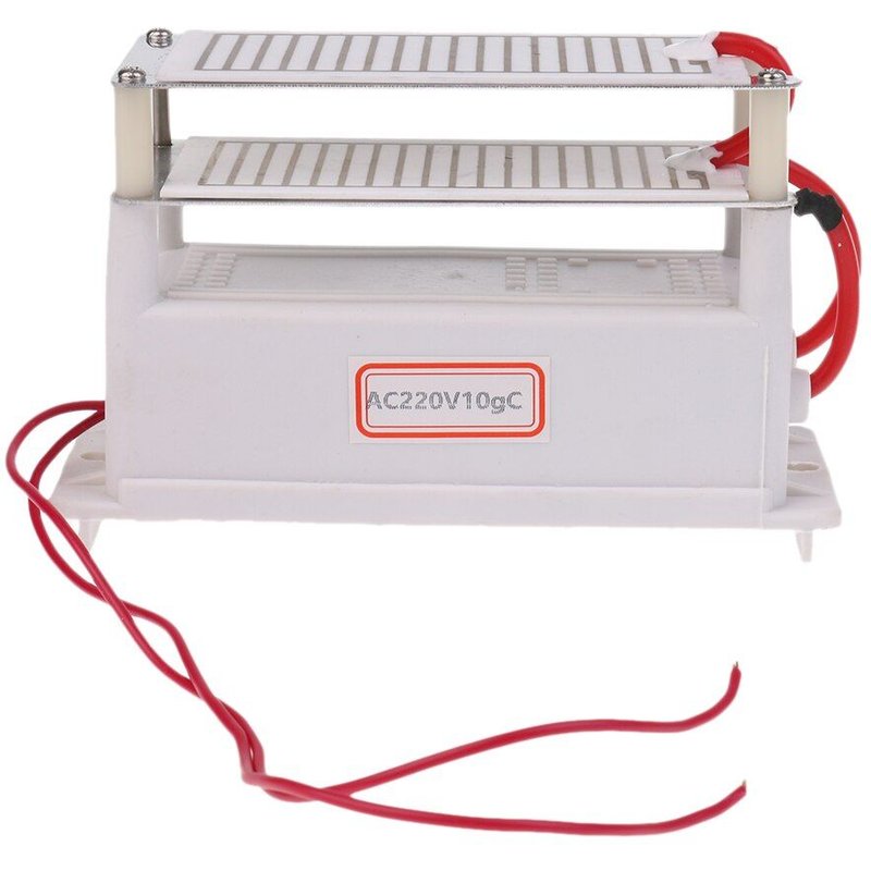 Générateur d'ozone en céramique 220V 10 g/H Double plaque en céramique purificateur d'air ozoniseur