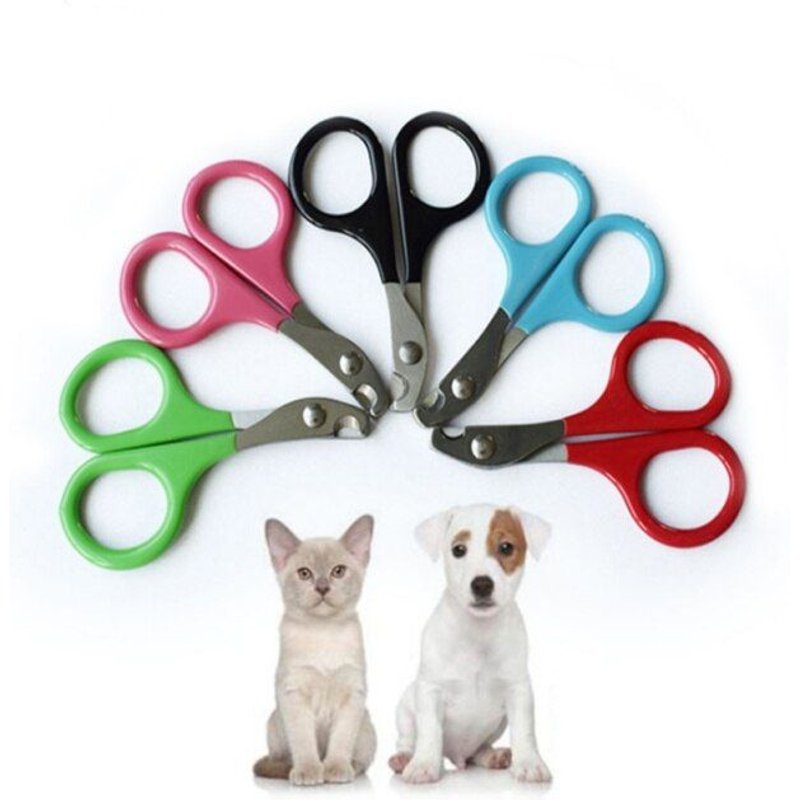 Professionnel Chat De Compagnie Chien Coupe-Ongles Coupe Acier Inoxydable Toilettage Durable Facile À Utiliser Chiot Chaton Griffe Soins Fournitures Outil