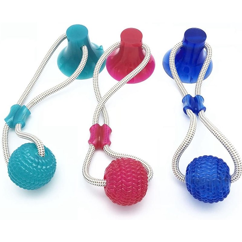 Chien Interactif Ventouse Tpr Balle Jouets Molaire Pour Animaux De Compagnie Morsure Chien Ventouse Chien Interactif Molaire Mâcher Jouet Dents Outil De Nettoyage
