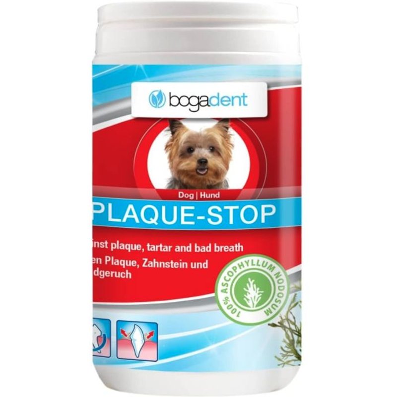 Bogadent Plaque Stop Oral Hygiene Support 7640118834604 Chien Chiot Animaux Animal Soins Dog Comasound Kartel