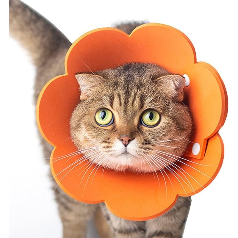 Colliers Pour Animaux De Compagnie Collier Anti-Lick Chat Réglable De 16 À 19 Cm Collier De Protection Léger Colliers Élisabéthains Pour Chats (Orange, S)