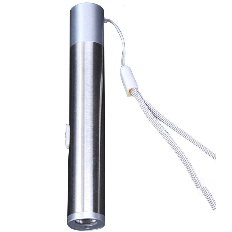 Usb Rechargeable Laser Bâton Chat Animal Familier Drôle Deux Dans Un Argent Pointeur Laser Infrarouge + Argent