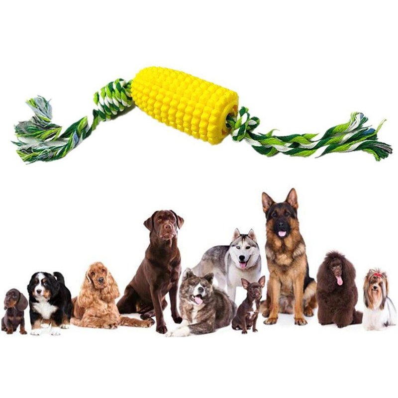 Jouets À Mâcher Pour Animaux De Compagnie, Nettoyage Des Dents, Pour Chien, Chiot, Récupération, Jouets Interactifs, Bâton Molaire De Maïs, Brosse À Dents
