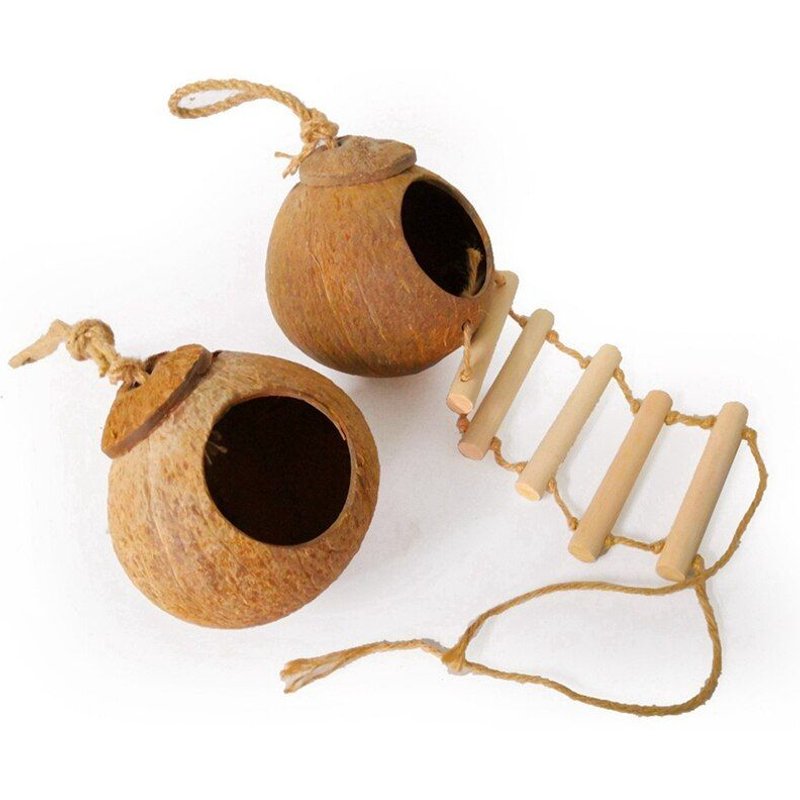 Cage Naturelle De Maison De Nidification De Perroquet D'oiseau De Coquille De Noix De Coco Avec L'échelle Accrochante Pour Les Petits Perruches D'animal De Compagnie
