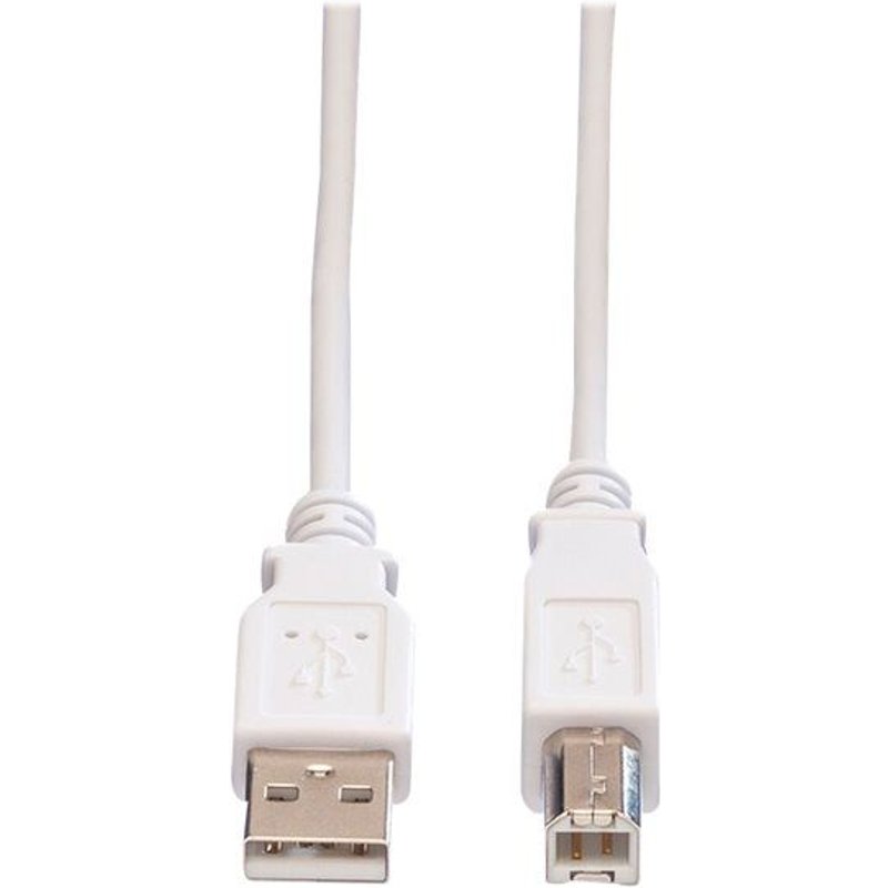 VALUE - Câble USB - USB (M) pour USB type B (M) - USB 2.0 - 3 m - blanc