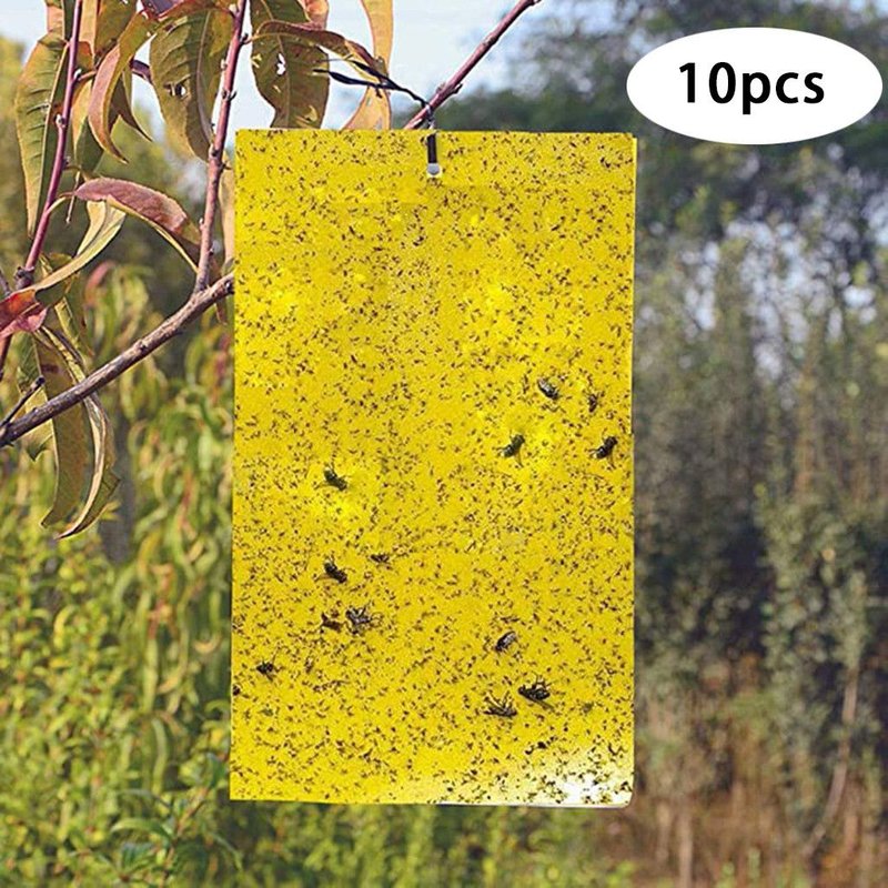 Pièges à moucherons collants jaunes 10/20/30PC pour insectes de plantes volantes intérieures/extérieures @produits menagers29943
