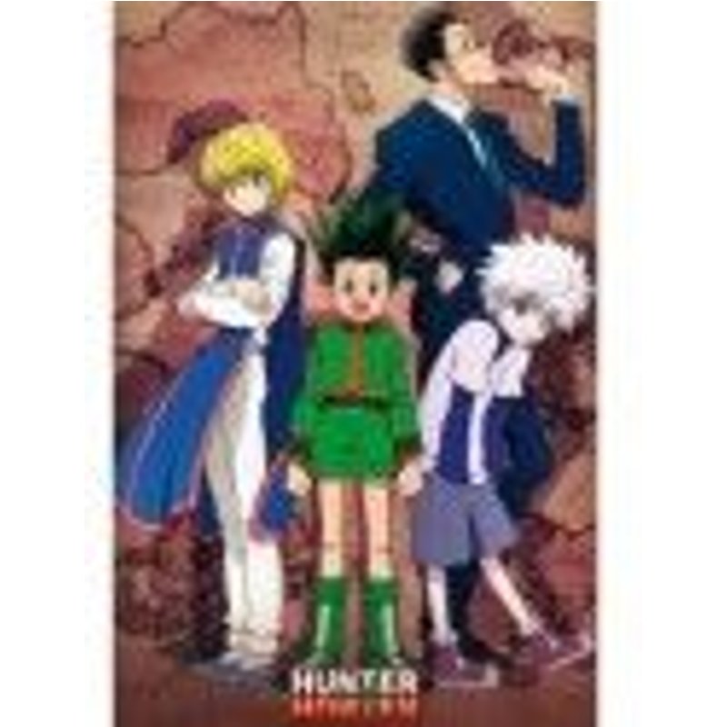 Abystyle - Hunter X Hunter Poster Héros (91,5 X 61 Cm)