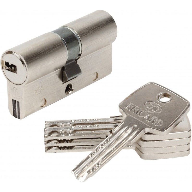 Cylindre de serrure BRICARD trial s débrayable L.30 + 30 mm