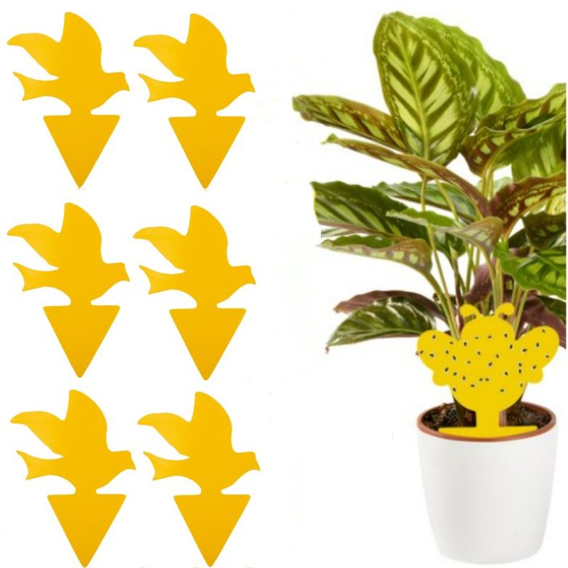 Piège collant pour parasites sur plantes en pot, paquet de 100 Jaune