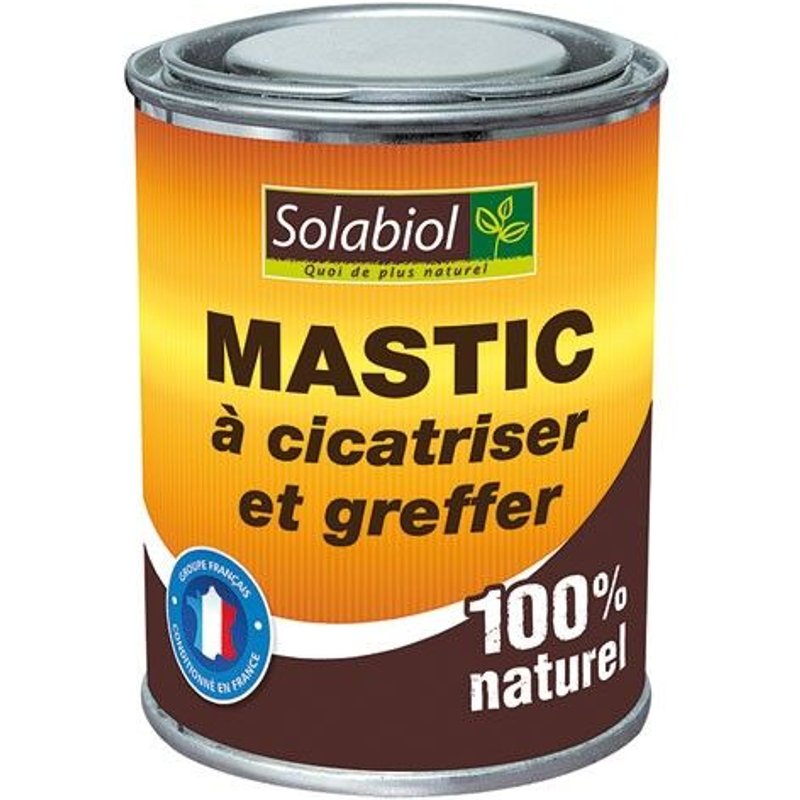 Mastic Ă cicatriser et greffer 150g