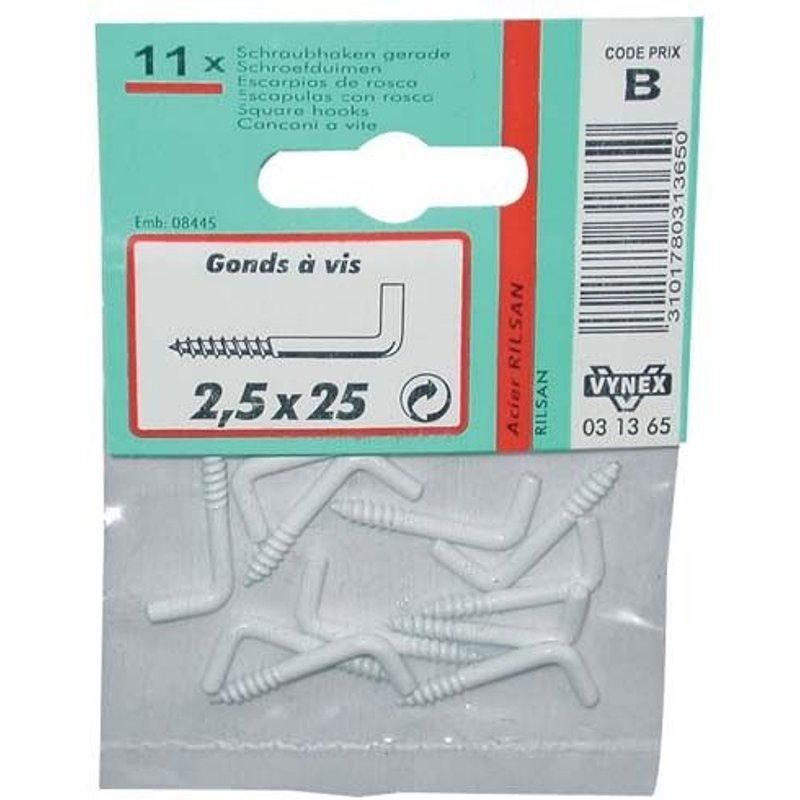 Gond à vis - acier rilsanisé - 2.5x25 mm