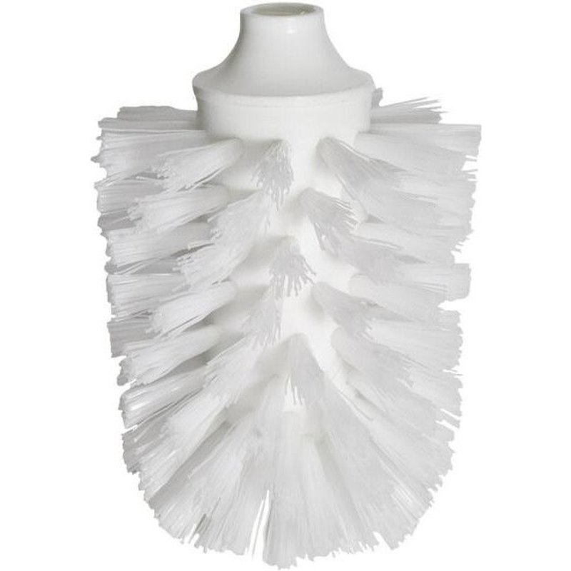 TĂȘte de brosse blanche