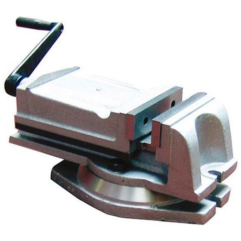 Etau industriel 100 mm avec base tournante - I100 - Holzmann