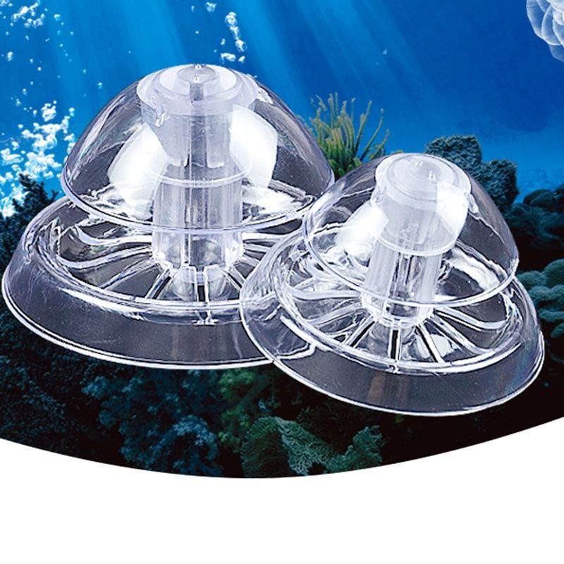 Haute Qualité Ravageur Attraper Boîte En Plastique Sangsue Planaria Ravageur Attraper Boîte Outil De Nettoyage Aquarium Accessoires Pour Aquarium, Aquarium