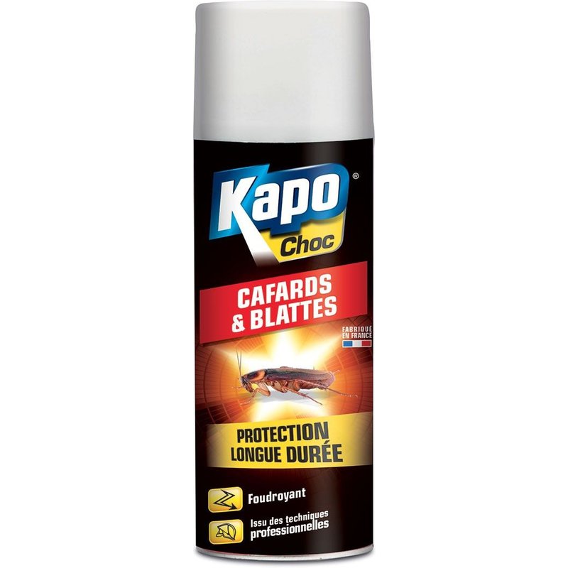 Aérosol Black contre blattes et cafards 400ml