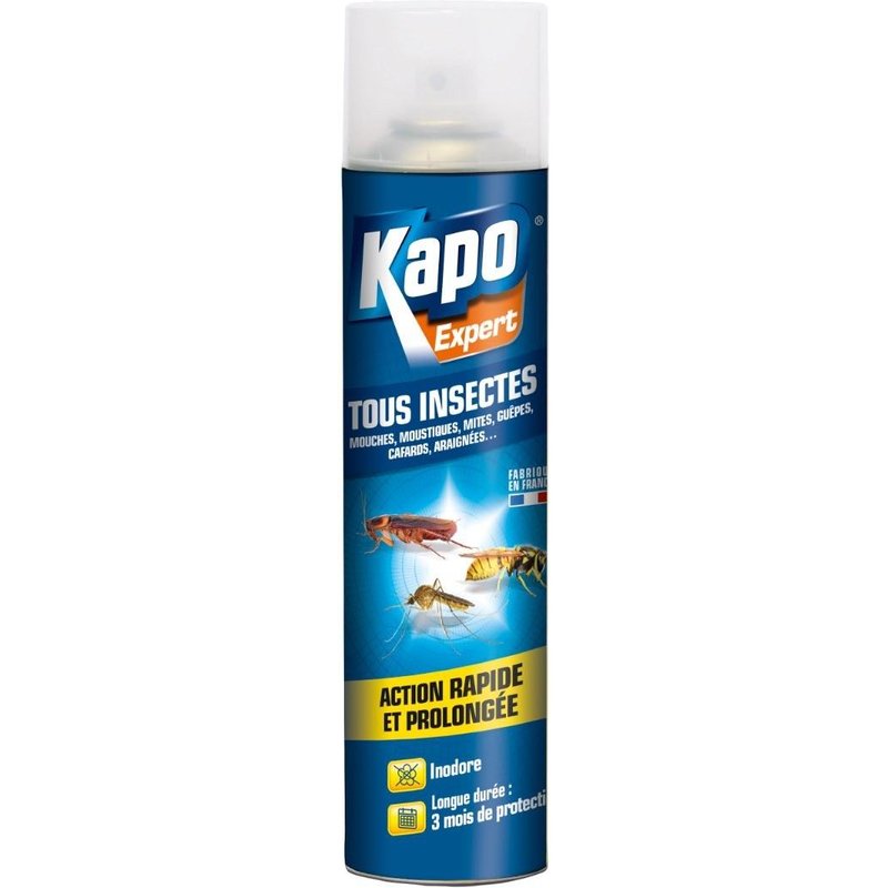 Aérosol tous insectes 300 ml