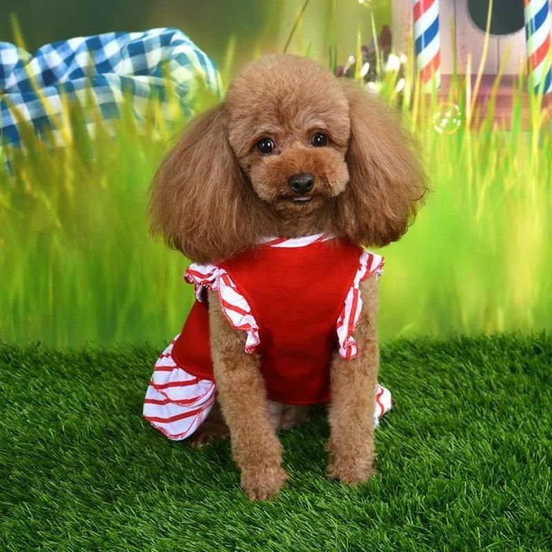 Pet Dog Cat Polyester Vêtements Soft Christmas Dress Costume For Holiday Party (Xs)-Lek