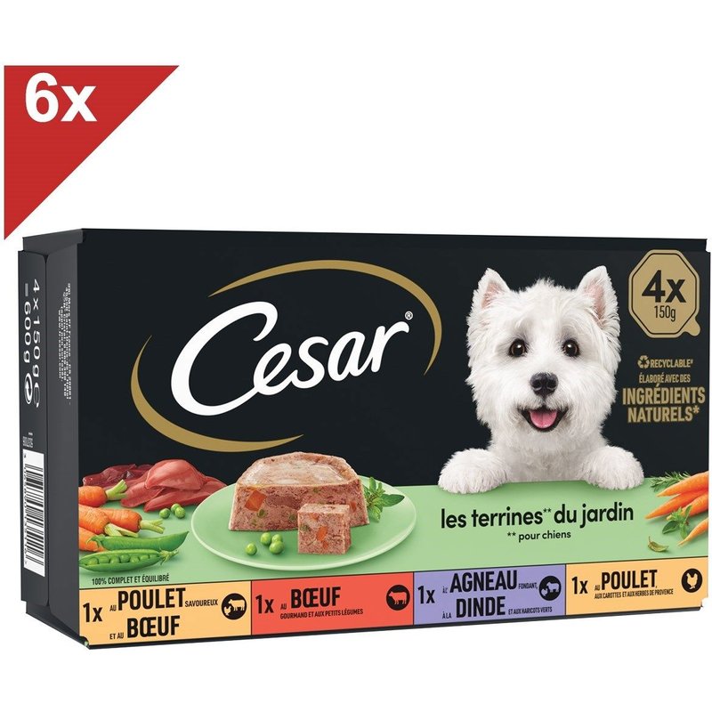 Cesar 24 Barquettes En Terrine 4 Variétés Pour Chien 150g (6x4)