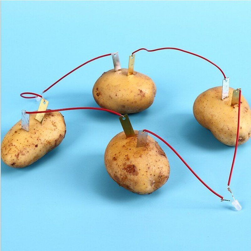 Ensemble Scientifique Bio-Énergie Pour Enfants, Pommes De Terre Et Fruits, Alimentation En Électricité, Expérience, Apprentissage, Jouets Éducatifs