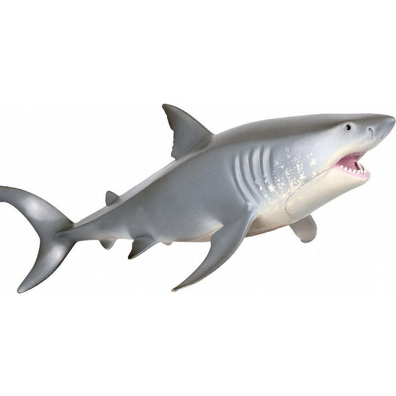 Simulation De La Vie Sauvage Dans La Mer, Modèle De Requin Megalodon, Figurine D'action En Pvc, Animal Marin De L'océan, Jouet De Collection Éducatif, Cadeau Pour Enfant