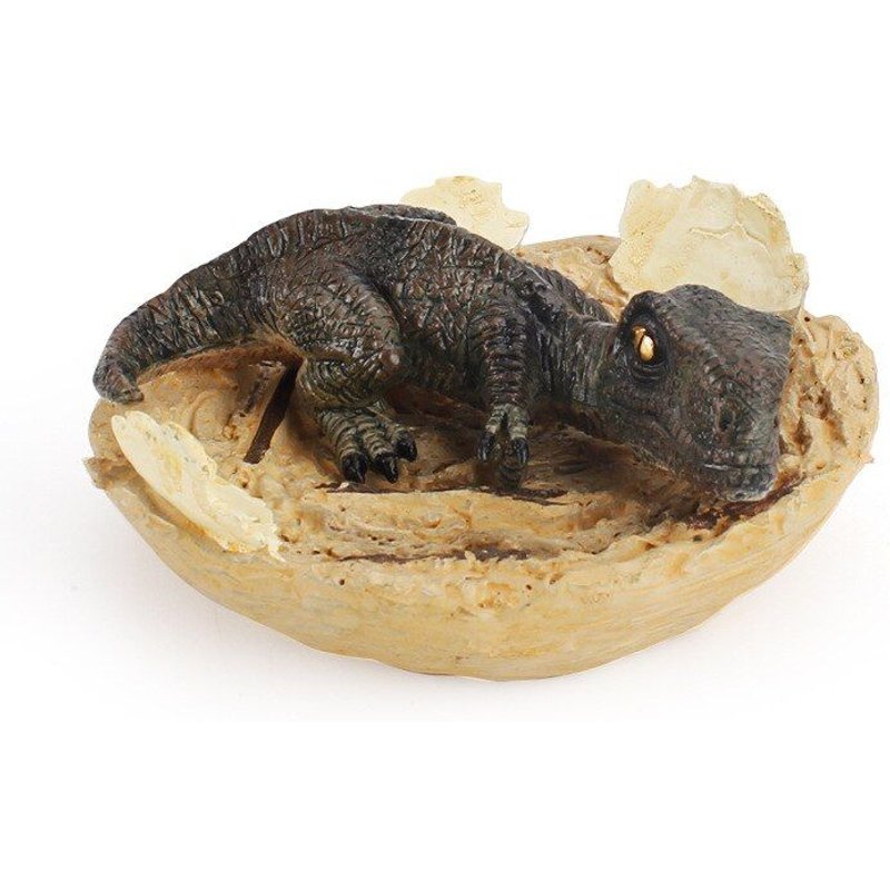 ¿uf de dinosaure pour enfants, jouets de décoration, modèle de tyrannosaure, jeu d'extraction scientifique, Montessori