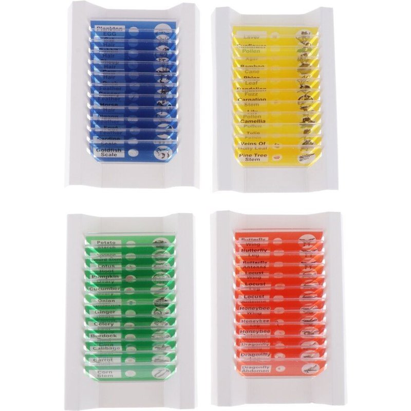 Microscope Préparé À Glissière 48x, Échantillon Biologique, Animal, Insecte, Plante, Fleur, Éducation Scientifique Biologique De Base, Kit D'échantillons