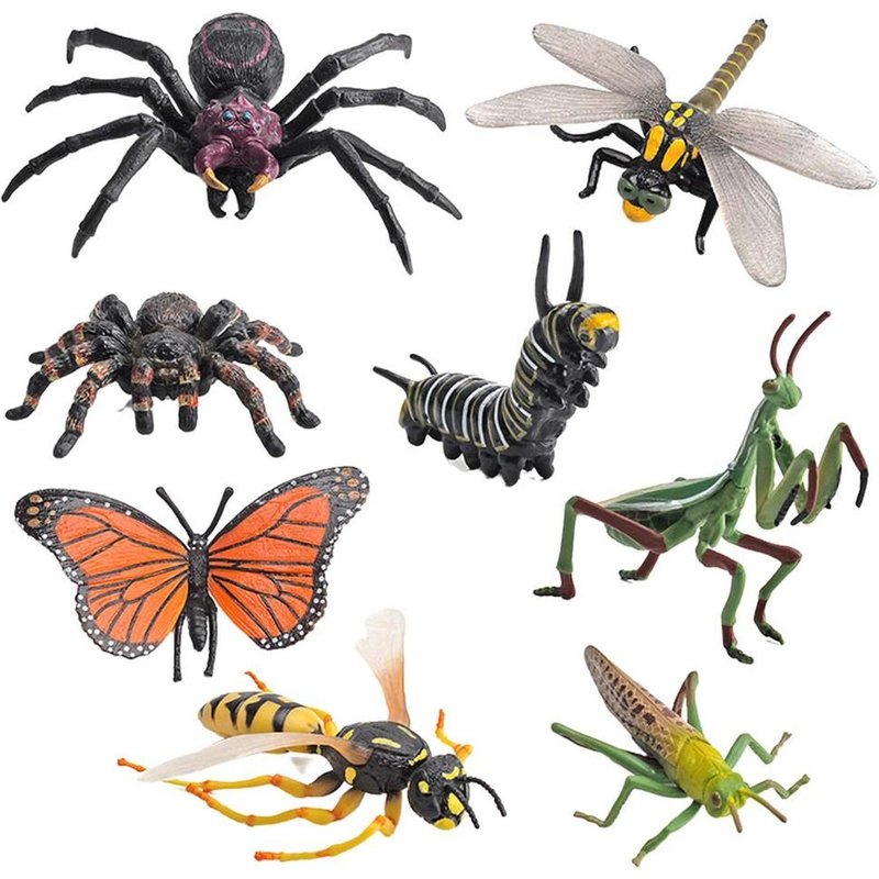 Figurines Insectes Réalistes En Plastique, Ensemble De 8 Pièces, Jouets D'Apprentissage Éducatifs, Projet Scolaire, Insectes Collecti