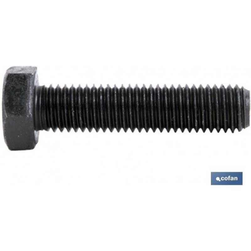 Vis tête hexagonale DIN-933 C-109 M-16 X 60 N Pack 10 pcs