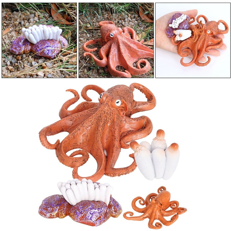 Cycle De Vie D'Une Pieuvre, Insectes De La Nature Cycles De Vie Modèle De Croissance Accessoire De Jeu, Jouet Éducatif Naturel Animal Insecte De Simulation