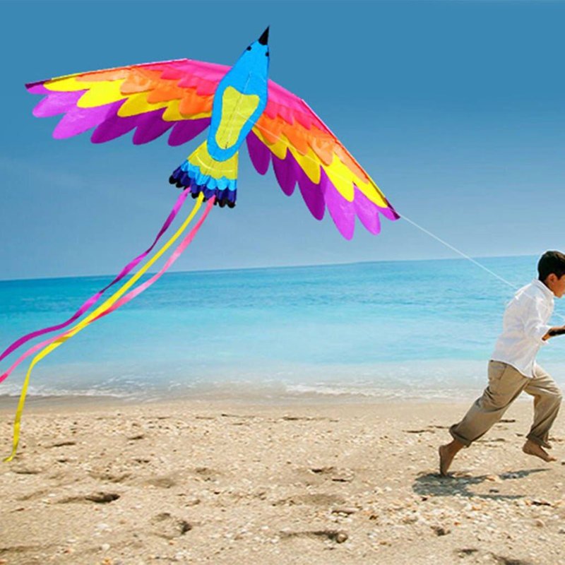 Cerf-Volant Phénix 3d, Animaux D'Extérieur, Énorme Aile, Oiseau Volant, Jouets Pour Enfants, Surf, Voyage De Plage En Famille, Été