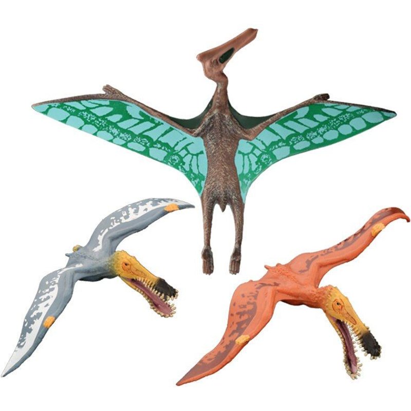 Figurines De Dinosaures Jurassic Anhanguera Pterosauria En Pvc, 3 Pièces/Lot, 3 Couleurs, Modèle D'Action, Poupée Animal, Jouet Pour Bébé, Cadeau Pour Enfants