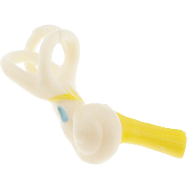 Ressources D'Apprentissage En Laboratoire-Modèle D'Anatomie De L'Oreille Humaine Numérotée Agrandie 5x