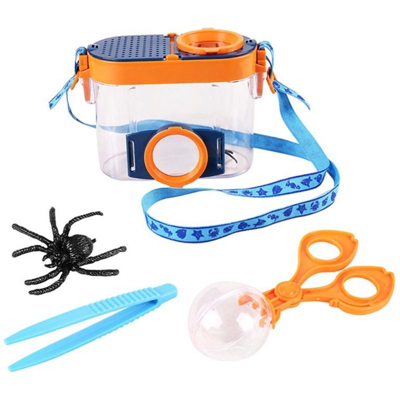 Vision D'Insecte Avec Microscope Grossissant, Observation De Classe De Science Pour Enfants