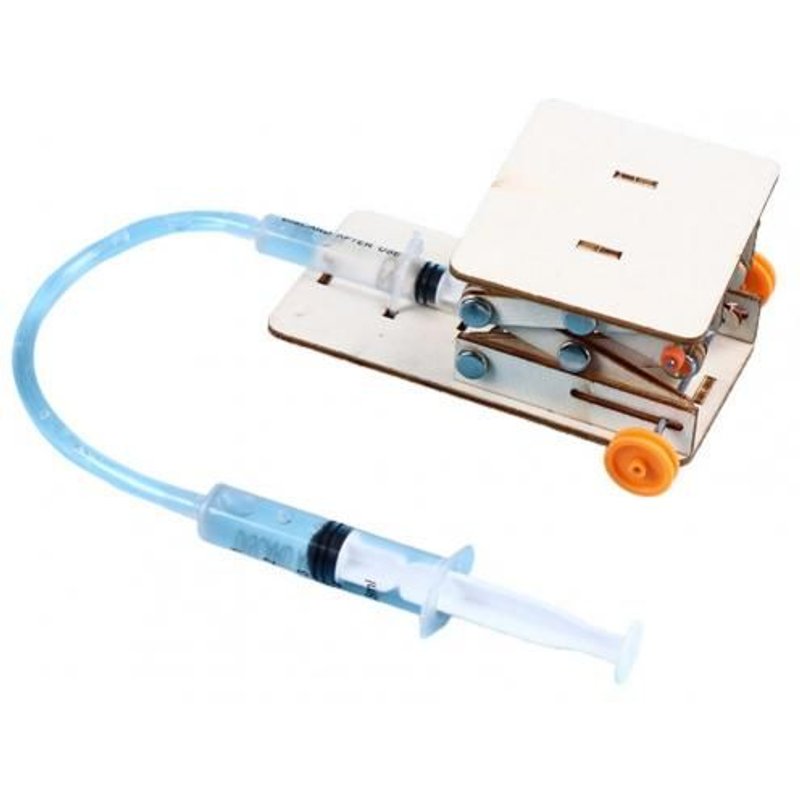 Jouet Éducatif En Bois À Pression Hydraulique, Fait À La Main Pour Enfant, Développement De L'Intelligence Collective