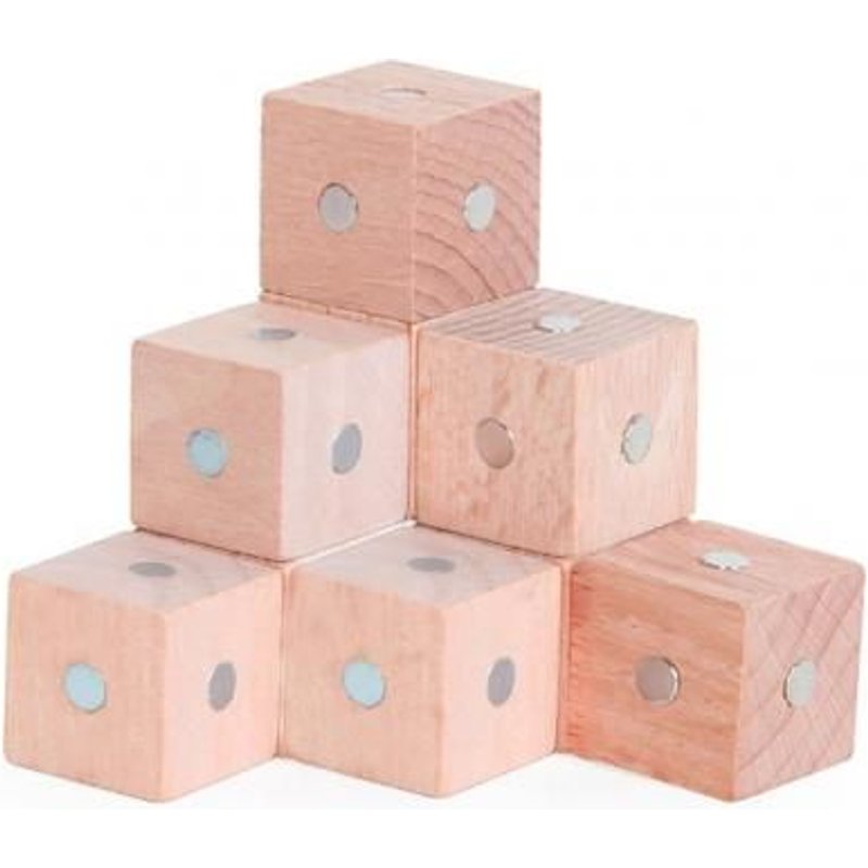 Blocs Cubiques Magnétiques En Bois, 10 Pièces, Briques De Construction, Jouet Éducatif De Maths, Développement De L'Intelligence, Cadeau Pour Enfant