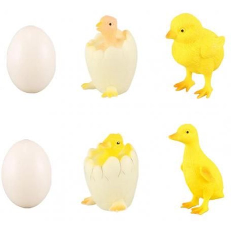Jouet Interactif Pour Enfant, 6 Pièces/Ensemble, Modèle De Croissance Du Cycle De Vie, Ferme De Poulets