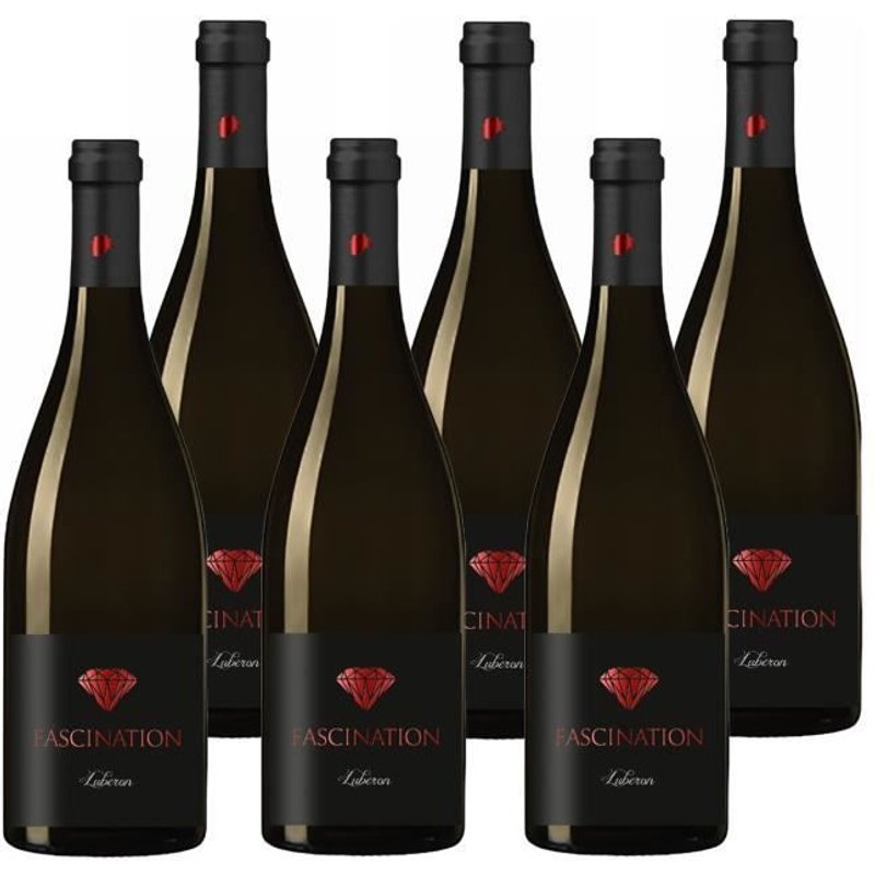 Carton de 6 bouteilles - Le Temps des Sages - Fascination Rouge 2018