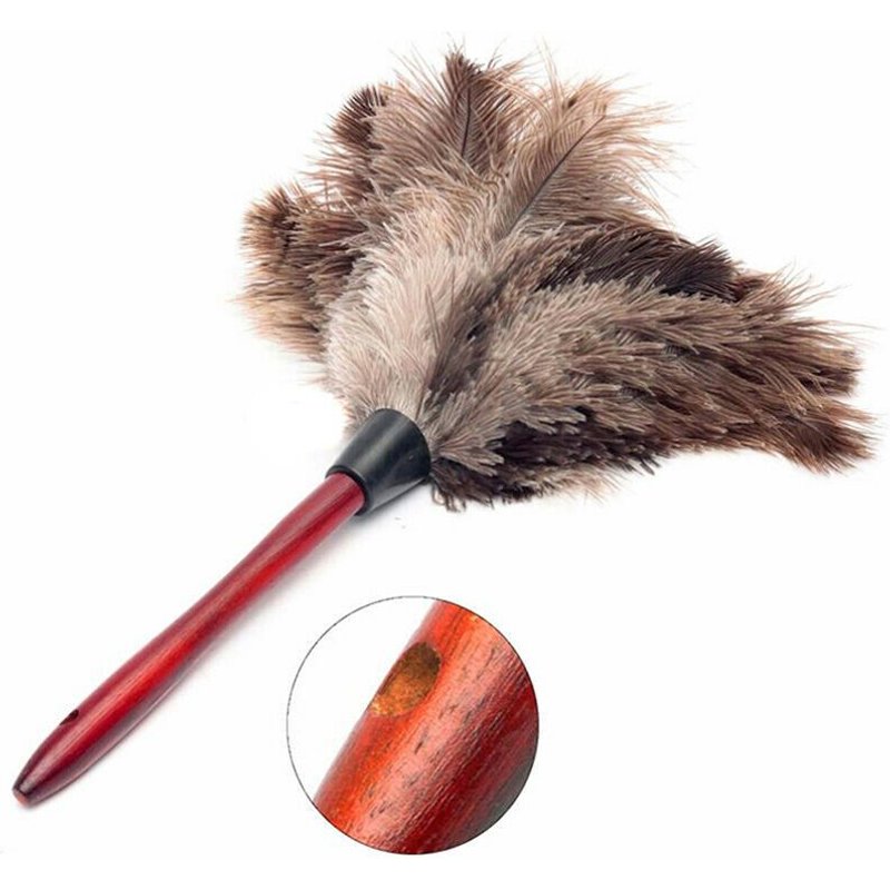 Plume d'autruche plumeau plumeau plumeau en bois brosse plume de poussière
