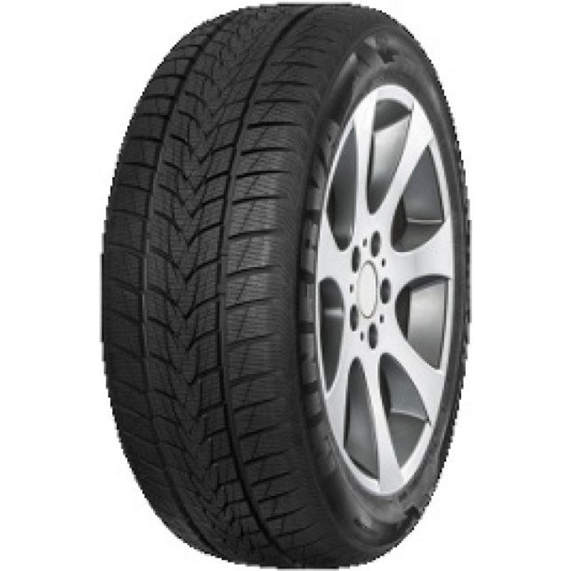 Pneu Minerva Frostrack UHP ( 205/55 R16 91H )