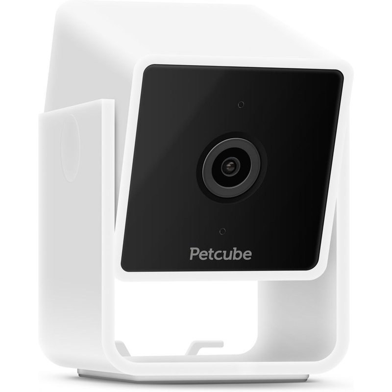 Caméra de sécurité PETCUBE Cam-camera wifi pour animaux domestiques