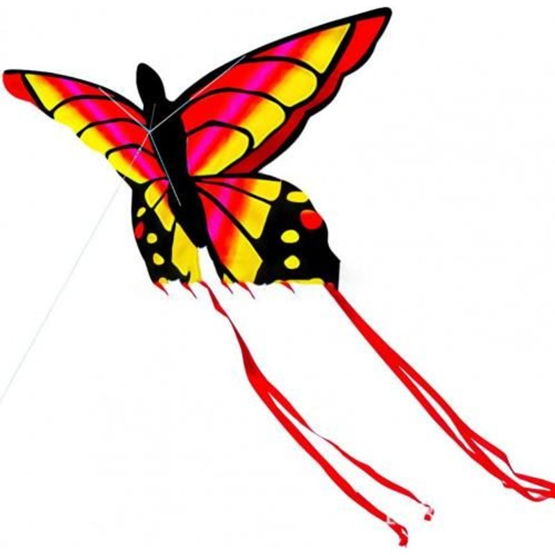 Cerf-Volant À Longue Queue Papillon, Beau Design, Résistant Aux Déchirures, Pour L'Extérieur