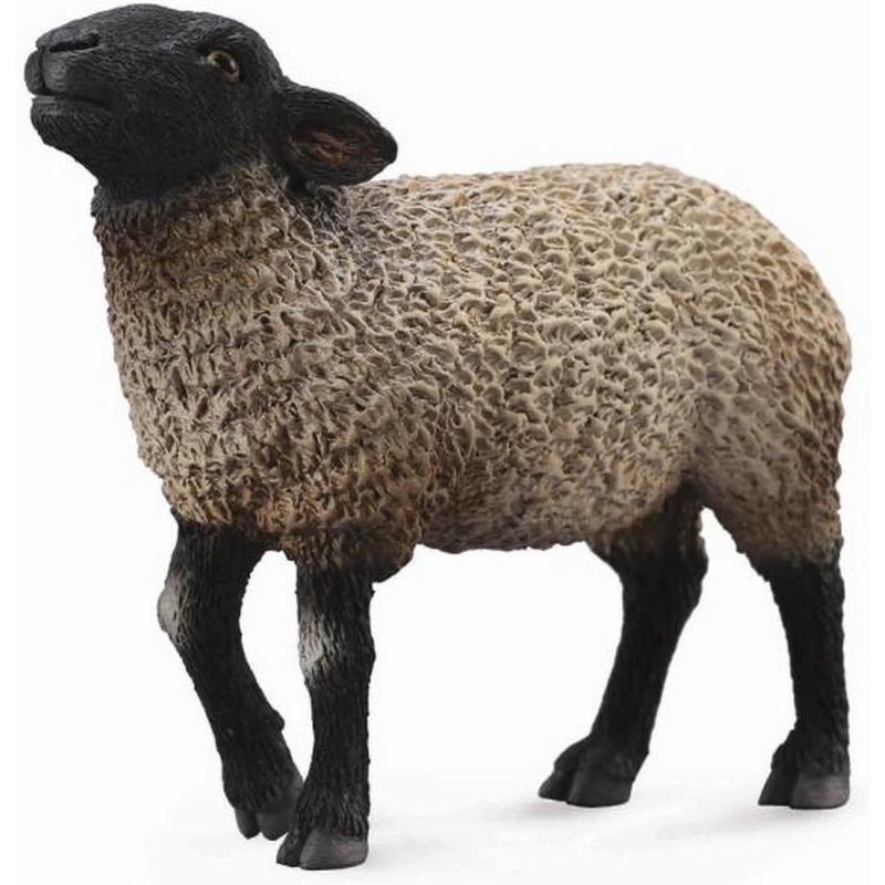 Oveja Suffolk Collecta