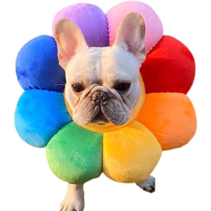 Collier De Récupération Réglable Pour Animaux De Compagnie, Cercle De Protection, Cône De Protection Pour Animaux De Compagnie