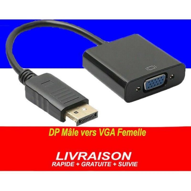 DisplayPort Mâle vers VGA Femelle Convert 1080p DP