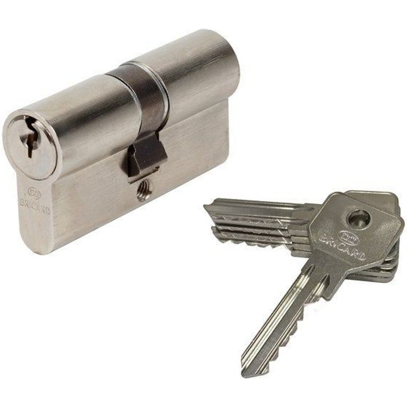Cylindre De Serrure Alpha Débrayable L.30 + 30 Mm