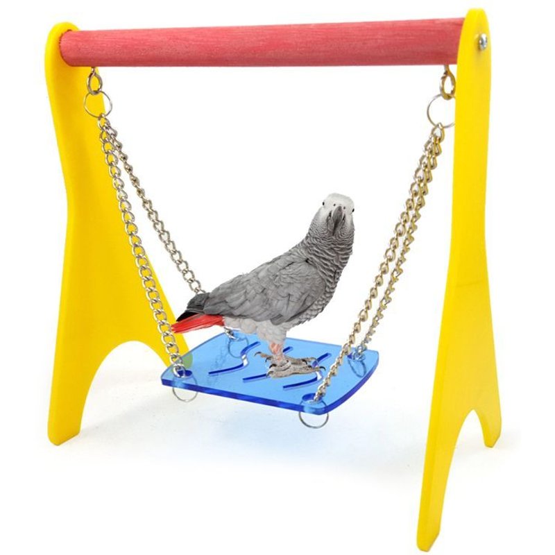 Jouet De Poulet Balançoire En Acrylique Avec Chaîne Suspendue, Cage De Perche Pour Bébé, Support D'entraînement Pour Oiseau, Perroquet, Poules, Aras