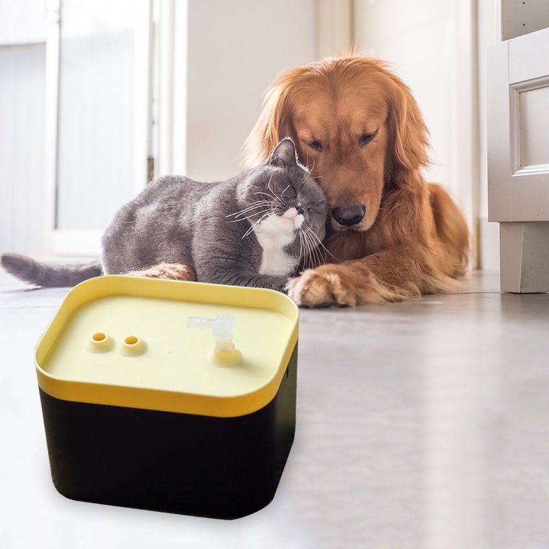 Fontaine D'eau Automatique Pour Chat D'une Capacité De 15l, Distributeur D'eau Pour Animaux De Compagnie, Chiot, Chaton, Bol D'alimentation